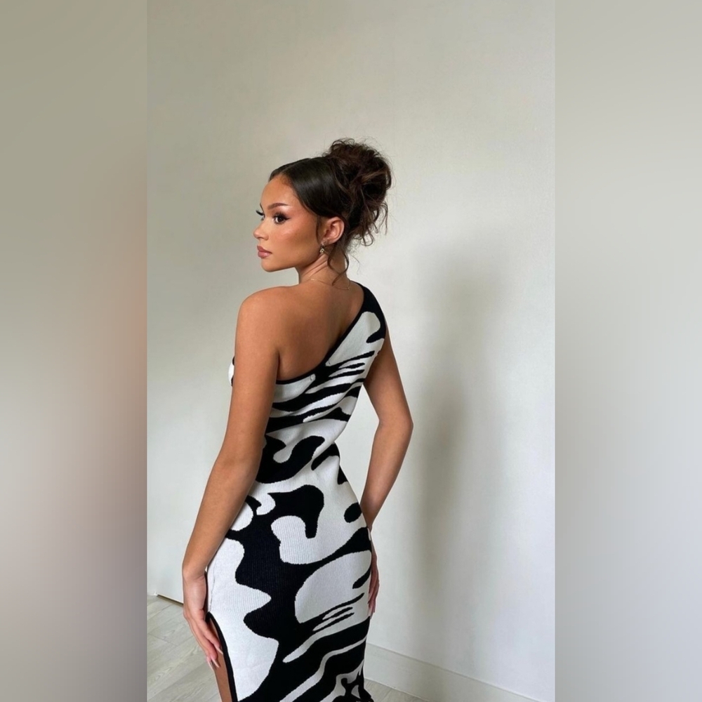 Micas dress NWT